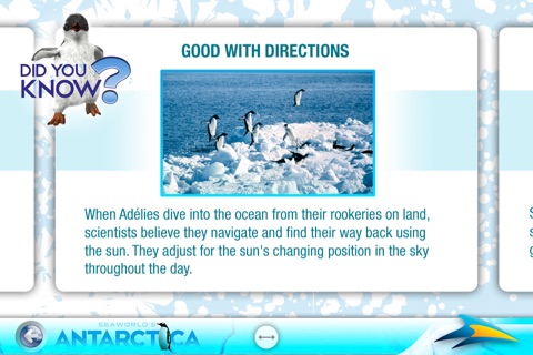 SeaWorld's Antarctica screenshot 4
