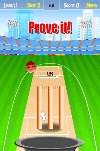 Cricket Ball Toss - Cool Throwing Sport Challenge screenshot 2