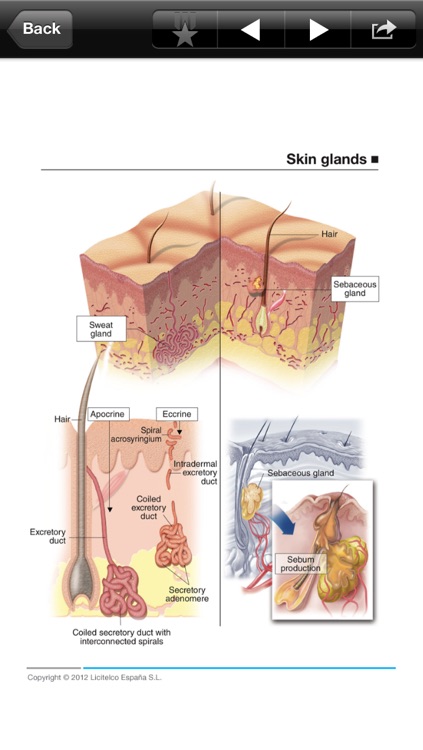 Dermatology Mini Atlas