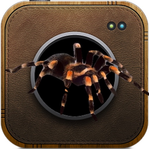Spider Booth iOS App