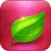 Твой Личный Косметолог PC 용