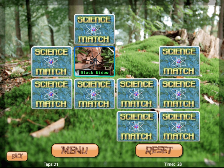 Science Match Bugs