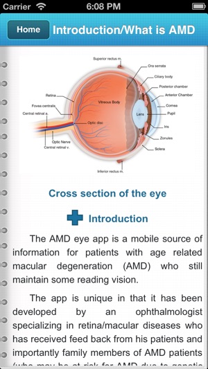 AMD eye