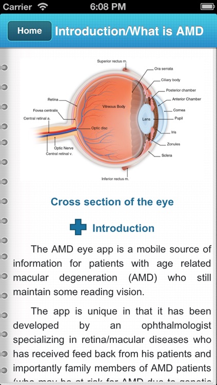 AMD eye