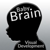 Baby Brain - Visual Development