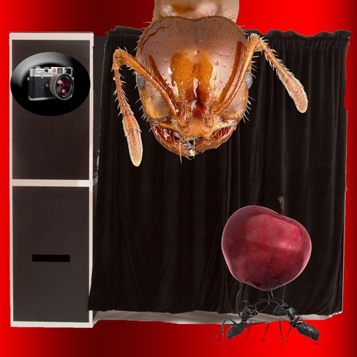 Ant Booth for iPhone