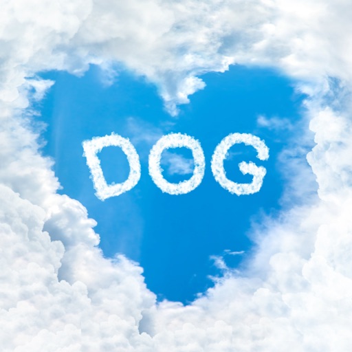 DogsBestLife.com icon