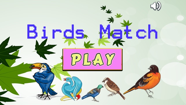 Improve Your Kids Brain With Matches Bird Cards(圖1)-速報App