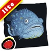 Abby’s Aquarium Adventures- Predators: Learn about the world of sea predators through this enticing story filled with facts and fun quirks about fish and sea animals; written by Heidi de M... Abby’s Aquarium Adventures- Predators: Learn about the world of sea predators through this enticing story filled with facts and fun quirks about fish and sea animals; written by Heidi de M...