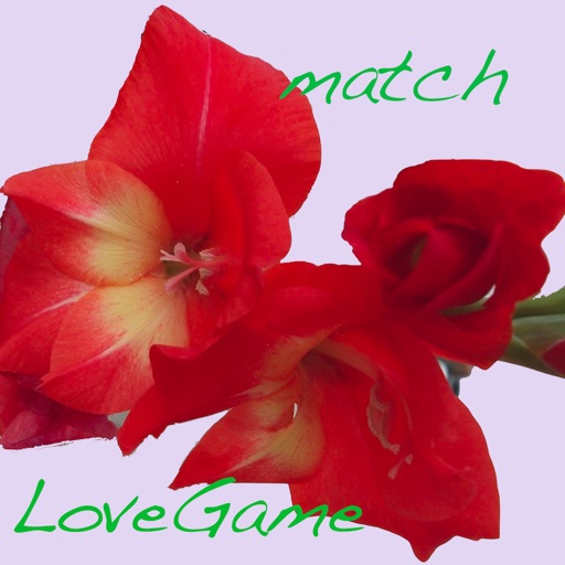 Love Game_matching icon