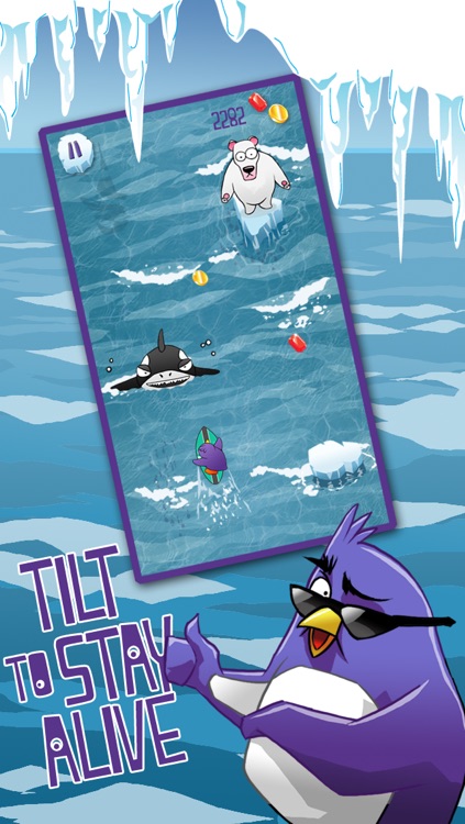 Extreme Penguin Surfing Adventure Crush