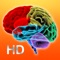 Brain Aktivity HD