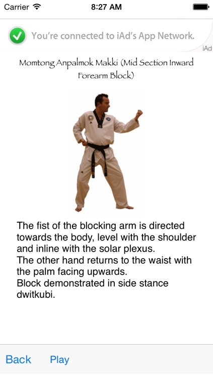 Taekwondo Blocks