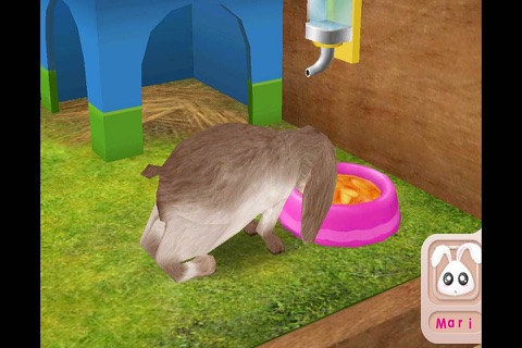 Petz screenshot 4