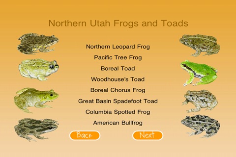 Utah's Hogle Zoo FrogWatch screenshot 2