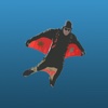 Wingsuit