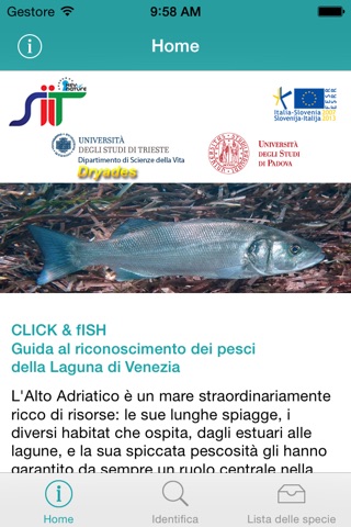 CLICK & fISH - Guida al riconoscimento dei pesci della Laguna di Venezia screenshot 2