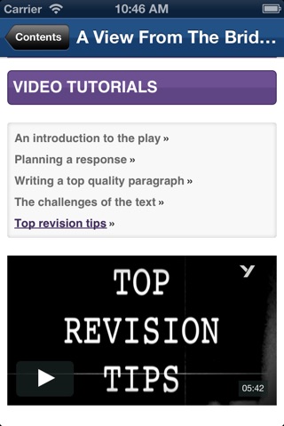 A View from the Bridge York Notes GCSE screenshot 4