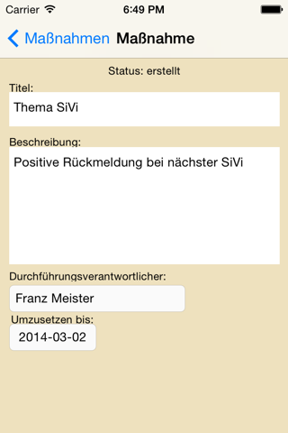 Sicherheitsaudit screenshot 4