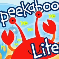 Activities of Peekaboo Ocean HD Lite