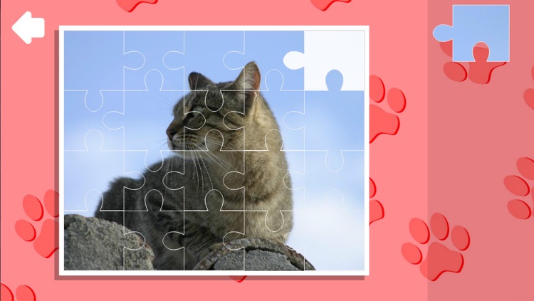 Jigsaw Puzzles. Cats