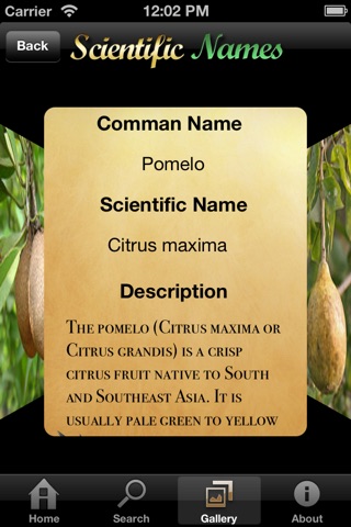 Scientific Names (Pocket App) screenshot 4