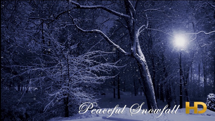 Peaceful Snowfall HD
