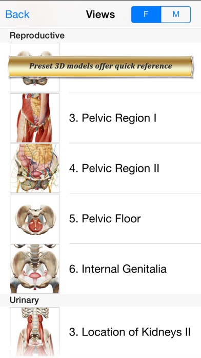 Reproductive and Urinary Anatomy Atlas: Essential Reference for Students and Healthcare Professionals Screenshot 2