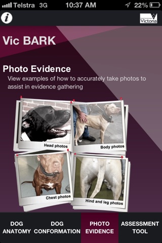 Vic BARK screenshot 4