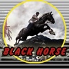 Black Horse Slots