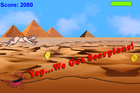 Temple Dawgs Desert Run screenshot 4