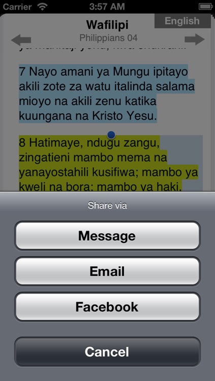 Swahili Bible Audio screenshot-4