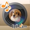 EyeCam -Catch the Eyes-