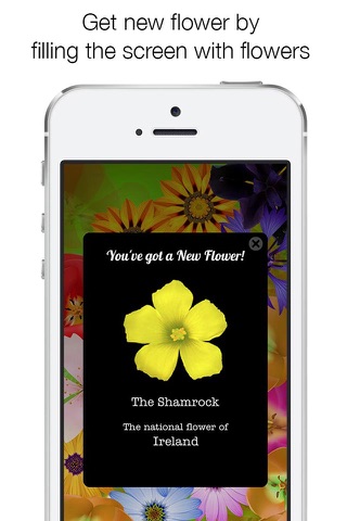 Bloom Free - Let flowers bloom with a tap on the screen - screenshot 3