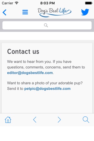 DogsBestLife.com screenshot 3