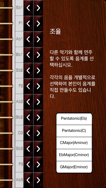 Jeong-ak Gayageum