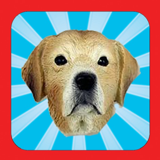 Dog Yourself! iOS App