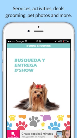 DShow Grooming(圖3)-速報App