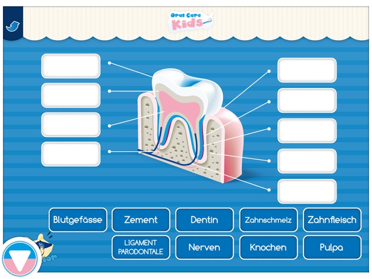 Oral Care Kids screenshot-3