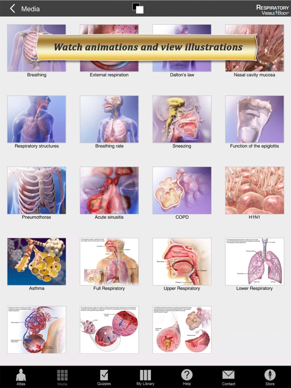 Respiratory Anatomy Atlas: Essential Reference for Students and Healthcare Professionalsのおすすめ画像4