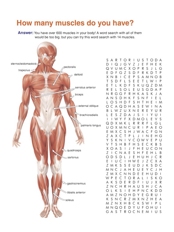 science human anatomy worksheets grade3 5 by shixian li