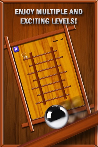 Labyrinth Ball Maze Tilt: Stay On the Rail Pro screenshot 2