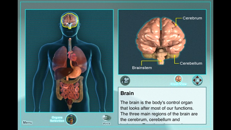 Human-Bio