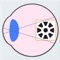 EyeBlurMaster is an exciting new application used to improve users’ vision
