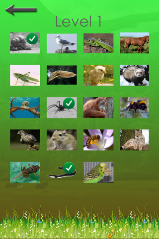 Animal Quiz - Which animal is that? screenshot 3