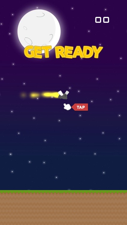 Flappy Firefly Night