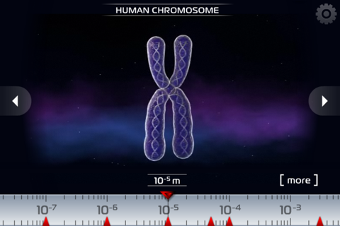 Science - Microcosm 3D Free : Bacteria, viruses, atoms, molecules and particles screenshot 2