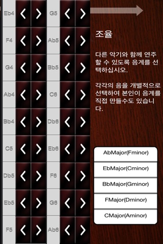 18 String Gayageum screenshot 3