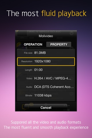 Moli-Player Pro - video & music media player for iPhone/iPod with AVI/MKV/MP3/DLNA/Samba screenshot 3