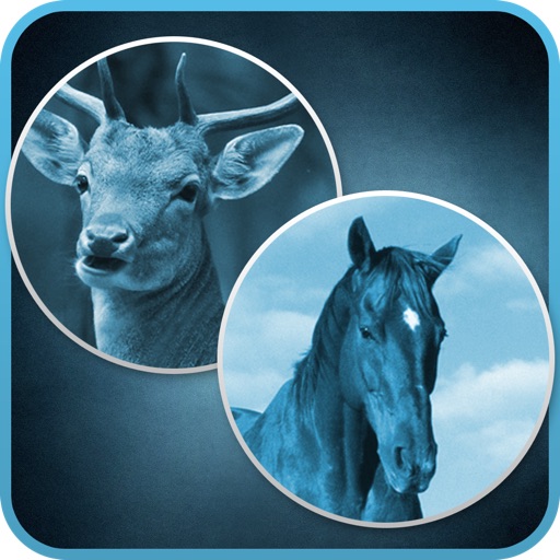 HorseOrDeer ! icon